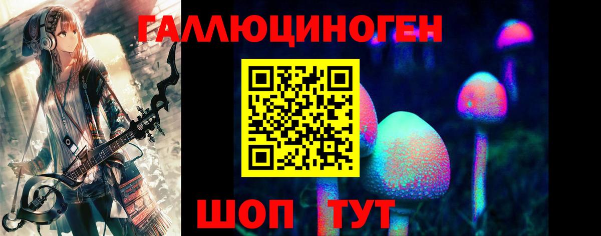Псилоцибиновые грибы Psilocybine cubensis Миасс