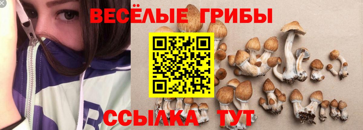 Галлюциногенные грибы мицелий  Вход с VPN  Миасс 